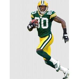   Fathead NFL Players and Logos Donald Driver 1220314: Home Improvement