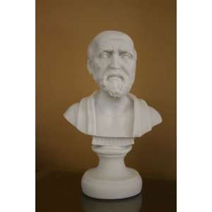   Marble Bust 6 Tall, Ancient Greek Medicine Author: Home & Kitchen