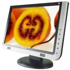  19 inch Wide LCD Monitor: Computers & Accessories