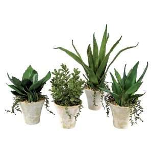  Set of 4 Urban Fusion Decorative Southwestern Potted 