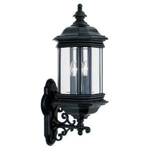  Sea Gull Lighting 8839 12 Outdoor Sconce: Home Improvement