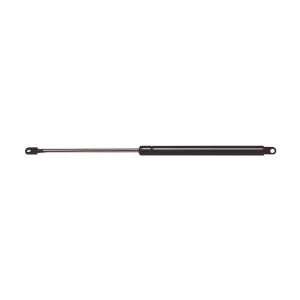  Strong Arm 4460 Hatch Lift Support: Automotive