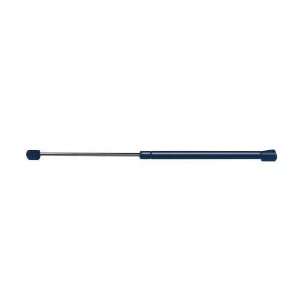  Strong Arm 4593 Hatch Lift Support: Automotive