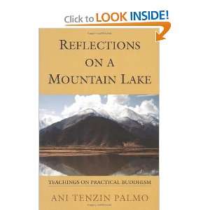   Teachings on Practical Buddhism [Paperback] Ani Tenzin Palmo Books