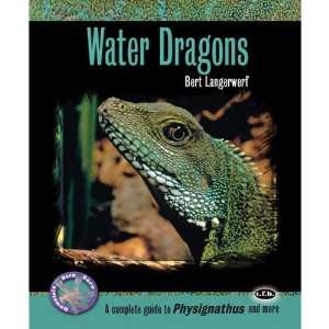  Complete Guide to Water Dragons Arts, Crafts & Sewing