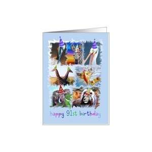  Colorful 91st Birthday Zoo Animals Card Toys & Games