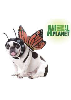 Animal Planet Butterfly Dog Costume Halloween Costume  