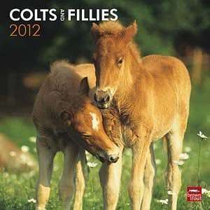  2012 Colts & Fillies Calendar