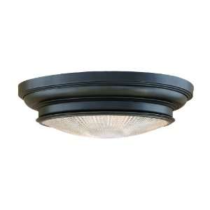  Woodstock Old Bronze Finish 20 Wide Ceiling Light: Home 