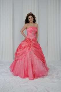 Strapless Contoured Embroidery Ball Gowns Quinceanera/Wedding dresses 