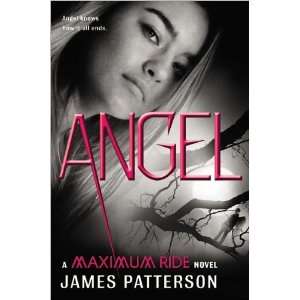 Angel (9780316036207) James Patterson Books