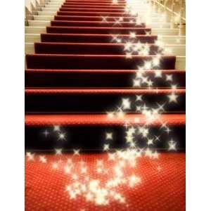  Stairs Covered with Red Carpet   Peel and Stick Wall Decal 