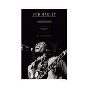    Bob Marley   Iron Lion College Dorm Music Poster: Home & Kitchen