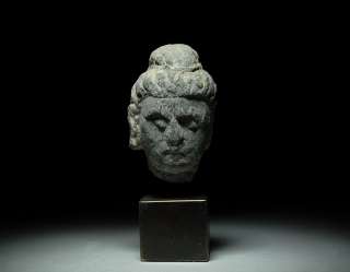 Ancient Indian Gandharan Greek   Buddhist Schist Head  