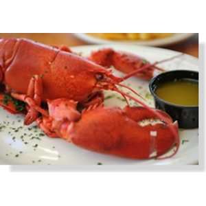 Live Lobsters, Fresh From the Coast of Maine  Grocery 