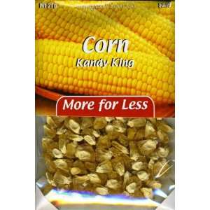  Plus Pack   Corn   Kandy King Patio, Lawn & Garden