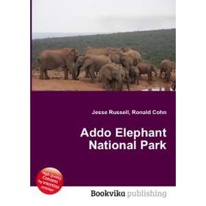  Addo Elephant National Park Ronald Cohn Jesse Russell 