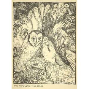   Illustrations from Aesops Fables Owl and the Birds