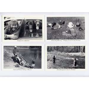 Four Duckboy Postcards (Stress Management Seminar Montana, Hanging Out 