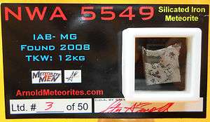 NWA 5549 Meteorite Magnet Silicated Iron by Meteorite Mens Steve 