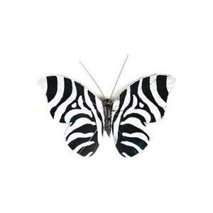 Midwest Design Feather Butterfly 3 1/pkg black/white Zebra Print 6Pk