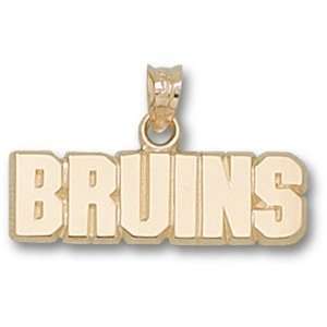  Boston Bruins NHL Bruins Pendant (Gold Plated): Sports 