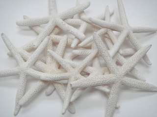  WHITE FINGER STARFISH STAR SEA SHELL CRAFT 3 4 8 PCS #7369  