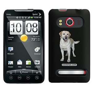  Labrador Retrever on HTC Evo 4G Case: MP3 Players 
