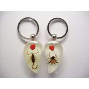    Valentine Keychain Glow Scorpion/Spider w Red Seed 