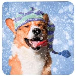  Christmas Gift Card Holder   Corgi in Snowfall: Gift Cards