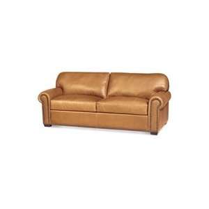   Comfort Sleeper by American Leather   Sleeper Sofas: Home & Kitchen