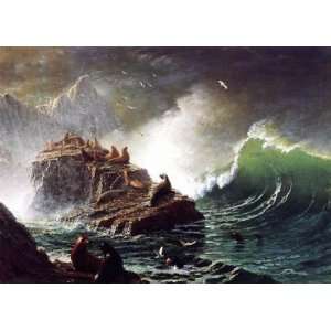   on the Rocks, Farallon Islands Albert Bierstadt H