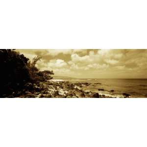   Beach Park, North Shore, Oahu, Hawaii, USA by Panoramic Images , 24x72