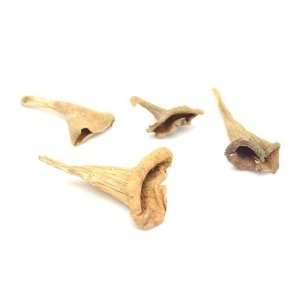 Mushroom House Dried Mushrooms, Trumpet, 3 Pound  Grocery 