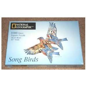   Geographic Song Birds 1,000 Piece Jigsaw Puzzle: Everything Else