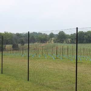  6 X 100 Standard Perimeter Deer Fence Patio, Lawn 