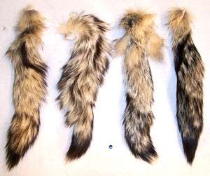 REAL KIT FOX TAIL animal tails foxes fur pelt new natural furs bushy 