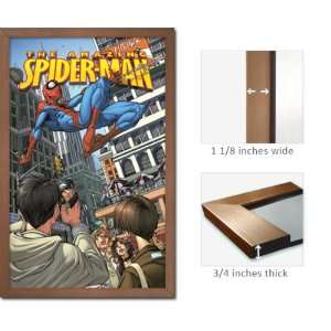   Framed The Amazing Spider Man Poster Spiderman Fr8682: Home & Kitchen