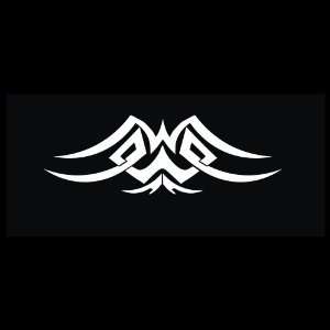  Pinstripe   Tribal Graphic Decal for Cars Trucks Home and 