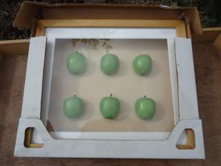 Miniature Artificial Green Apple Display Glass Shadow box Wood  