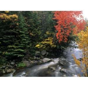  Moving Stream And Fall Colors, Groton, Vermont, USA 