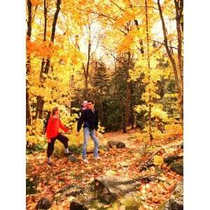  Young Family with Baby Hiking in Autumn Premium 