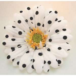   Daisy with Black Polka Dot Daisy Hair Flower Clip 30% OFF Beauty