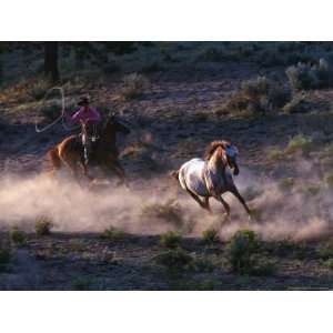  Cowboys Rounding Up Horses Photos To Go Collection 