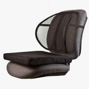   Mesh Back Support with Comfort Cushion