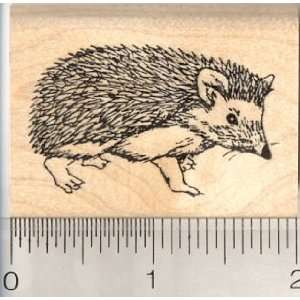 hedgehog rubber stamp Arts, Crafts & Sewing