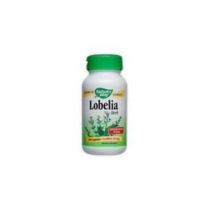  Lobelia Herb 100 Cp
