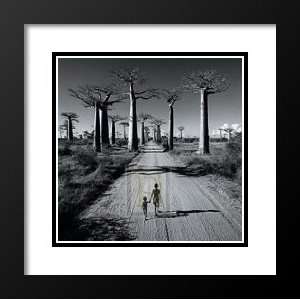   Framed and Double Matted Art 33x41 Allee Des Baobabs