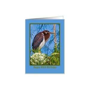  Birthday, 66th, Tricolored Heron in Flowering Tree Card 