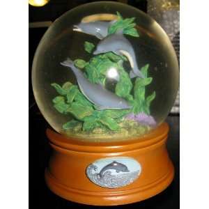   Music Box Company National Geographic Society Dolphin Water Globe